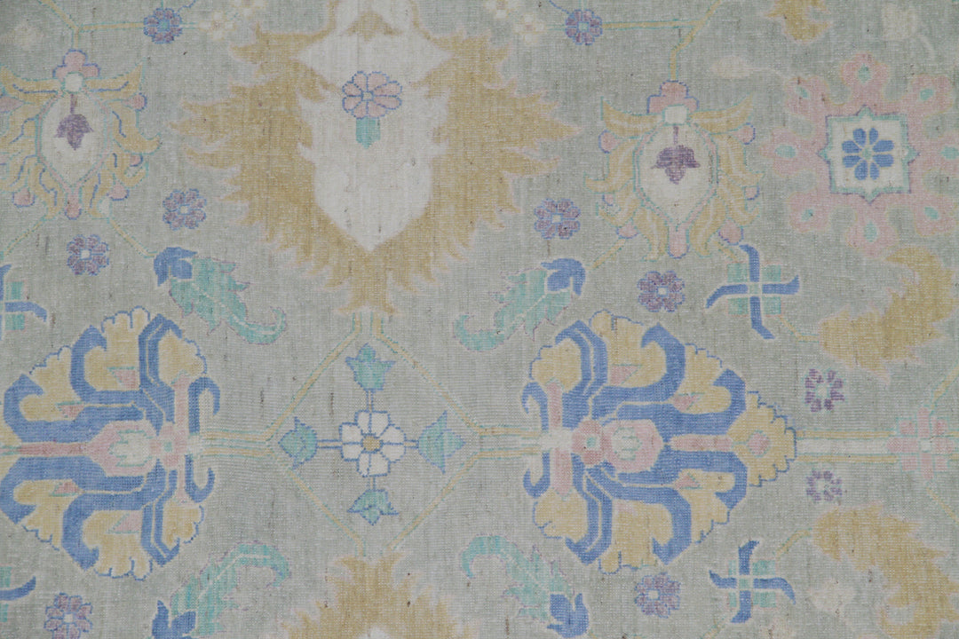12'x17' Ariana Transitional Turkmen Hand-Knotted Rug